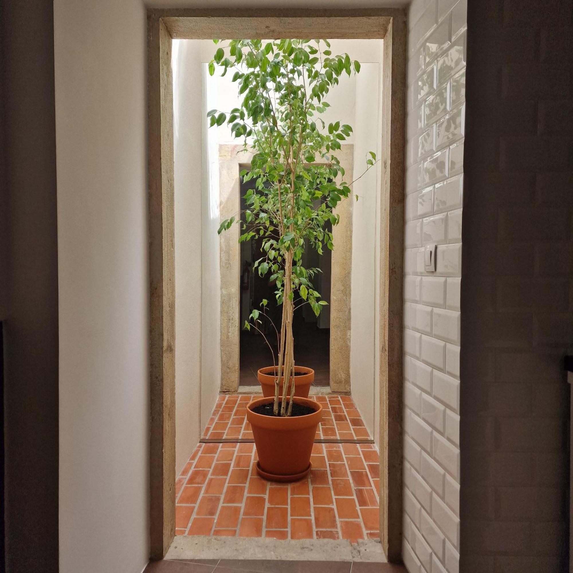 Casas De Constancia Villa Ruang foto