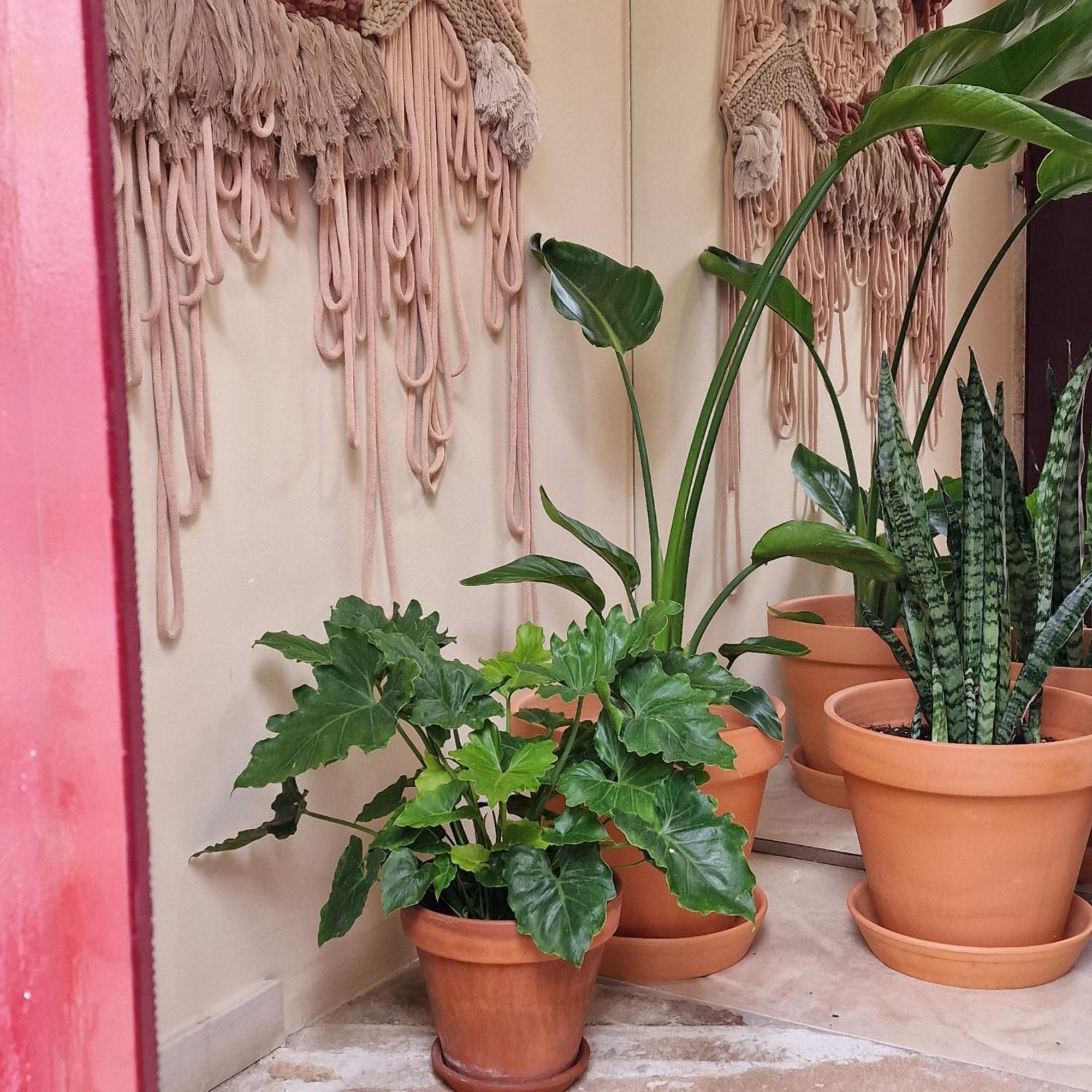 Casas De Constancia Villa Bagian luar foto
